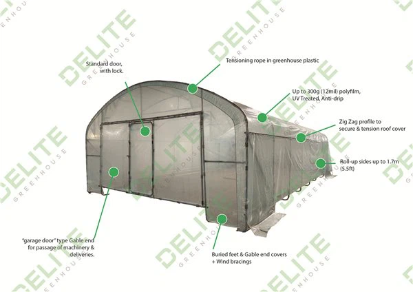 polytunnel 6m overview with options
